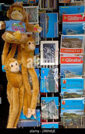 Souvenir, Gibraltar, souvenirs, cartes postales, Guide, Etagère, support Banque D'Images