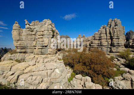 Calcaire jurassique, Parc naturel El Torcal de Antequera, province de Malaga, Andalousie, Espagne Banque D'Images