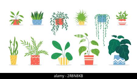 Ensemble de plantes en pot Illustration de Vecteur