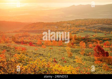 Feuilles d'automne de Hachimantai au soleil du matin Banque D'Images