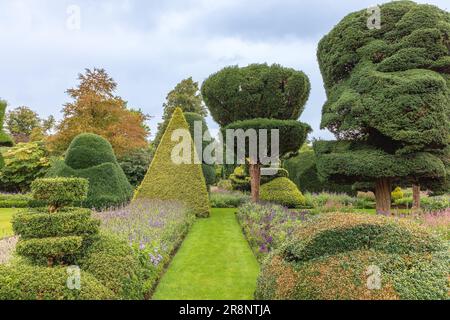 Des arbustes aux formes fantastiques dans le plus ancien parc topiaire du monde, le Levens Hall de Cumbria, Royaume-Uni. Banque D'Images