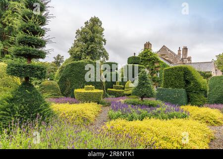 Des arbustes aux formes fantastiques dans le plus ancien parc topiaire du monde, le Levens Hall de Cumbria, Royaume-Uni. Banque D'Images