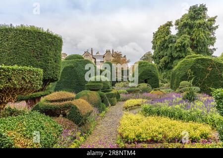 Des arbustes aux formes fantastiques dans le plus ancien parc topiaire du monde, le Levens Hall de Cumbria, Royaume-Uni. Banque D'Images