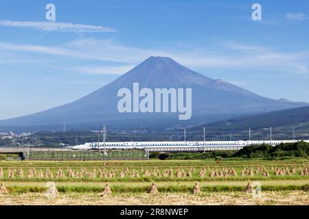 Mt.Fuji et Shinkansen N700A Banque D'Images