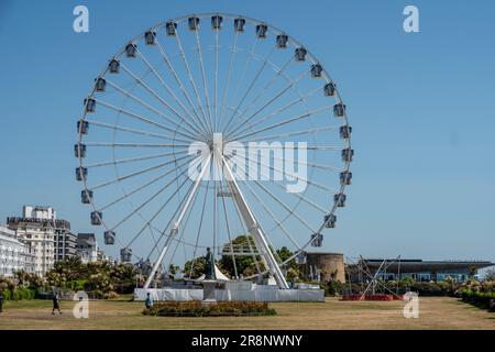Eastbourne, 16 juin 2023 : l'oeil d'Eastbourne, une grande roue de ferris Banque D'Images