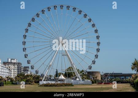 Eastbourne, 16 juin 2023 : l'oeil d'Eastbourne, une grande roue de ferris Banque D'Images
