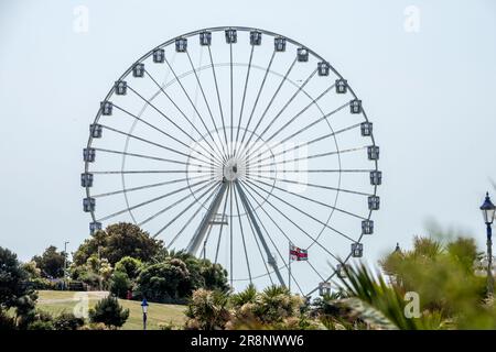 Eastbourne, 16 juin 2023 : l'oeil d'Eastbourne, une grande roue de ferris Banque D'Images