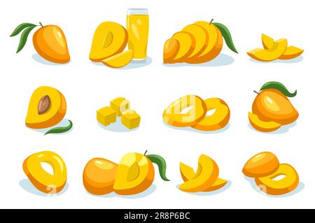 Collection Mango. Caricature de fruits mûrs entiers sucreries tropicales, alimentation bio de mangue saine, concept végétarien de nourriture saine. Isolat vectoriel Illustration de Vecteur