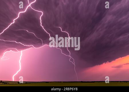 Ray. Orage. Tempête éclair. Foudre à fourche. Éclair éclair éclair sur le ciel nocturne. Cyclogenèse explosive. ÉTATS-UNIS. Banque D'Images