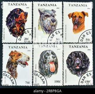 Timbre-poste annulé imprimé par la Tanzanie, qui montre chiens races, vers 1993. Banque D'Images