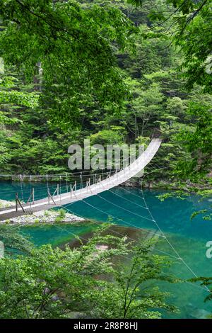 Pont suspendu de rêve à Sunmatakyo Banque D'Images