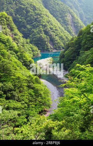 Pont suspendu de rêve à Sunmatakyo Banque D'Images