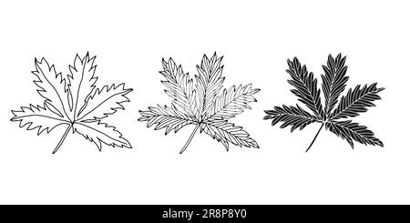 Ensemble de feuilles dessinées à la main, éléments floraux isolat sur fond blanc.plantes élément illustré Design pour inviter et imprimer. Illustration de Vecteur