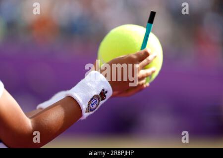 Un fan portant un sweat-shirt Queens Club détient une grande balle de tennis qui sera signée le quatrième jour des 2023 championnats Cinch au Queen's Club de Londres. Date de la photo: Jeudi 22 juin 2023. Banque D'Images