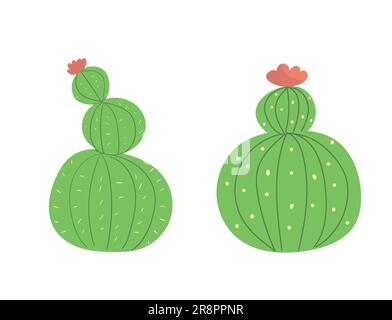 Arbre africain de couleur dessiné à la main. Ensemble mignon de cactus verts avec fleurs et rayures roses. Illustration vectorielle isolée sur fond blanc Illustration de Vecteur