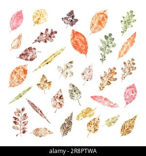 Ensemble de feuilles d'automne imprimées isolées sur fond blanc. Laissez tomber les feuilles sèches colorées. Illustration aquarelle de silhouettes de feuilles pour affiches, texture Banque D'Images