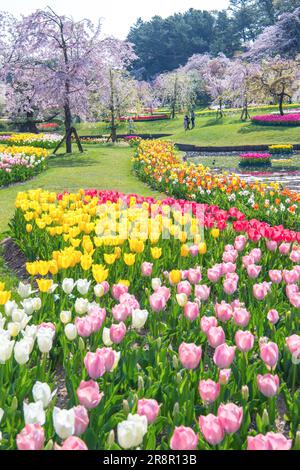 Parc aux fleurs de Hamamatsu Banque D'Images