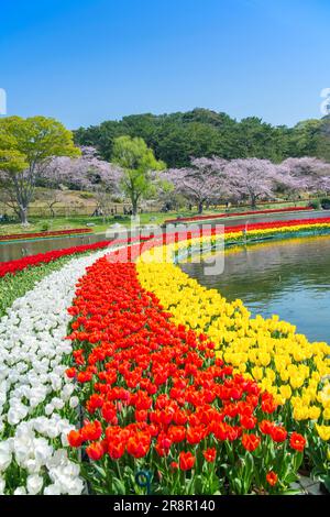 Parc aux fleurs de Hamamatsu Banque D'Images