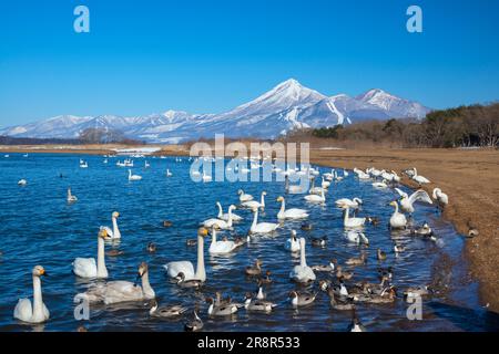 Swan, lac d'Inawashiro et montagne Bandai Banque D'Images