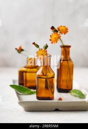 Herbes sauvages de champ, fleurs d'oranger en bouteilles de différentes formes sur un fond blanc-gris comme décoration. (Hieracium aurantiacum) Banque D'Images