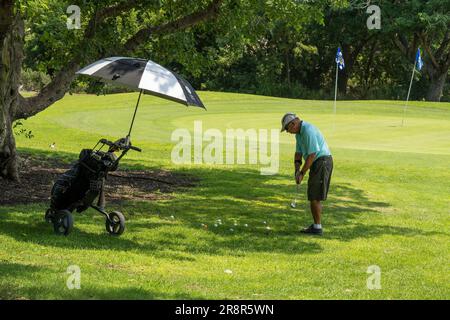 Césarée, Israël - 4 août 2022 : un homme pratiquant son golf sur l'herbe au club de golf de Césarée. Banque D'Images