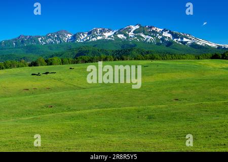 Angus Ranch et Taisetsu Zan Banque D'Images