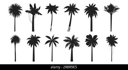 Palmiers noirs. Collection d'icônes noires de plantes exotiques de côte de mer, de noix de coco et de banane. Vecteur de vacances tropicales éléments de la silhouette de plage Illustration de Vecteur