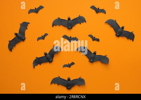 Beaucoup de chauves-souris noires volent sur un fond orange. Banque D'Images