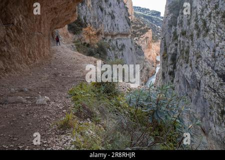 Paysage dans le canyon de Montrevi montrant les conséquences de la période de sécheresse en Catalogne Banque D'Images