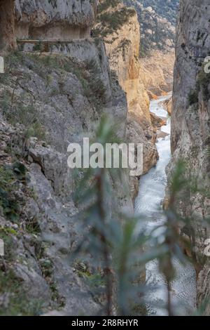 Paysage dans le canyon de Montrevi montrant les conséquences de la période de sécheresse en Catalogne Banque D'Images