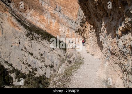 Paysage dans le canyon de Montrevi montrant les conséquences de la période de sécheresse en Catalogne Banque D'Images