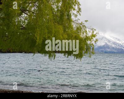 Passez Un arbre à travers le lac Wakatipu jusqu'aux montagnes enneigées Banque D'Images