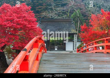 Temple Muroji et pont du tambour dans les feuilles d'automne Banque D'Images