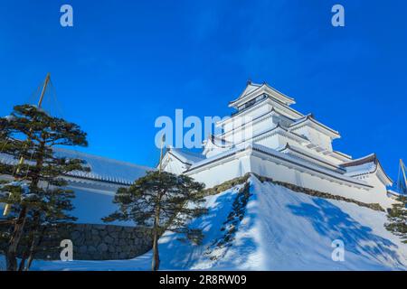 Vue en soirée sur le château de Tsuruga dans la neige Banque D'Images