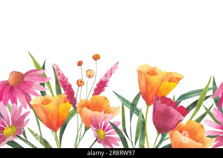 Bordure fleurie sans couture avec fleurs sauvages abstraites, plantes et branches délicates, imprimé aquarelle isolé sur fond blanc pour le textile ou Banque D'Images
