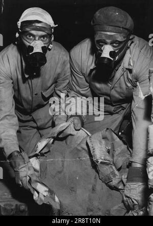 Le photographe du Herald Staff Frank Howe a mis un masque respiratoire et une combinaison comme celle-ci aujourd'hui pour se mettre dans la soute du cargo Eastern Saga à Victoria Dock, où les eaux déchargent le cyanamide calcique. La poudre fine est emballée dans des sacs en papier, dont certains sont cassés, comme le montrent ces siders. Le produit chimique irrite la peau et les yeux. 31 janvier 1952. Banque D'Images