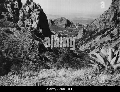 Big Bend Park -- c'est le pays typique du parc national de Big Bend. La vue est vers Marathon, Texas, depuis le bord est de 'The Basin' dans les montagnes Chisos de l'ouest du Texas, le long de la rivière Rio Grande. 23 mai 1947. (Photo par Wide World photos). Banque D'Images