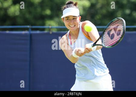 Ilkley, Royaume-Uni. 21st juin 2023. Club de tennis d'Ilkley, Angleterre, 21 juin 2023: 2023: Joanna Garland au cours de l'Ilkley W100 contre Himeno Sakatsume (Sean Chandler/SPP) crédit: SPP Sport photo de presse. /Alamy Live News Banque D'Images