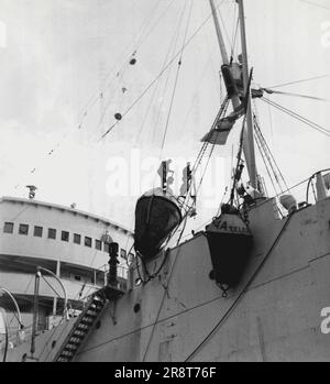 Première liaison téléphonique sous-marine de Grande-Bretagne avec l'Amérique. La première moitié de l'opération de pose de câbles terminée, le Monarch se transporte dans les bouées marqueurs et se prépare à quitter la côte d'Écosse. Au printemps 1956, on commencera par la pose du deuxième câble de mer, mais cette fois, en sens inverse, d'Oban, en Écosse, à Clarenville, à Terre-Neuve. 1 décembre 1955. (Photo par British Official Photograph). Banque D'Images