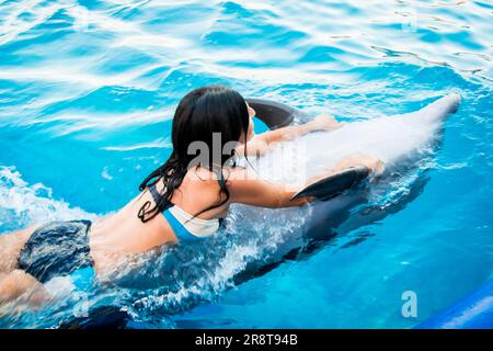 Femme caucasienne nageant avec un dauphin dans la piscine. Batumi nage avec le concept de l'expérience dauphin Banque D'Images