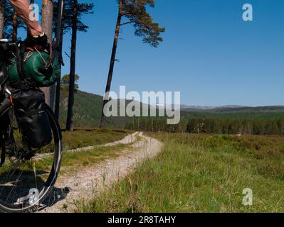 Vélo dans la forêt de pins calédoniens de Ballochbuie, Grapian Banque D'Images
