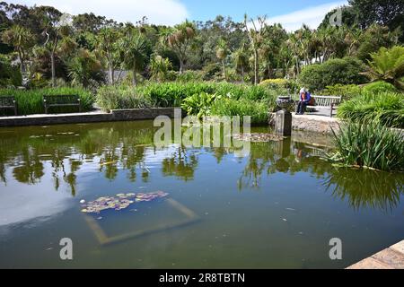 Vue sur Lily Pond dans les jardins botaniques de Logan Port Logan sur les Rhinns de Galloway, à la pointe sud-ouest de l'Écosse Banque D'Images