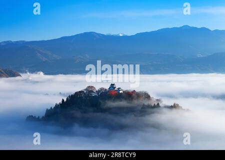 Château Echizen Ono et Mer des nuages en automne Banque D'Images