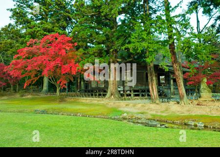 Jardin du temple Motsu-ji et salle Jogyodo en automne Banque D'Images