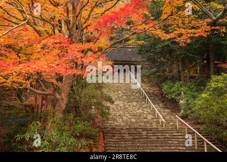 Temple de Muroji en automne Banque D'Images