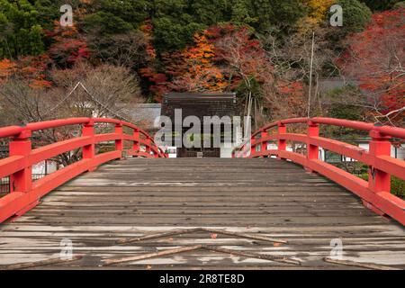 Temple de Muroji en automne Banque D'Images