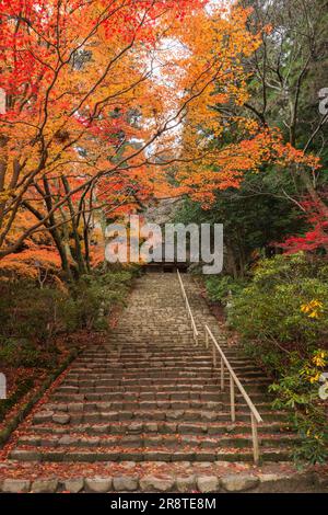 Temple de Muroji en automne Banque D'Images