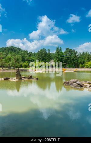 Jardin de la Terre pure au temple de Motsuji au début de l'été Banque D'Images