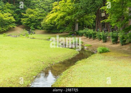 Yarimizu de Motsuji Temple Pure Land jardin Banque D'Images