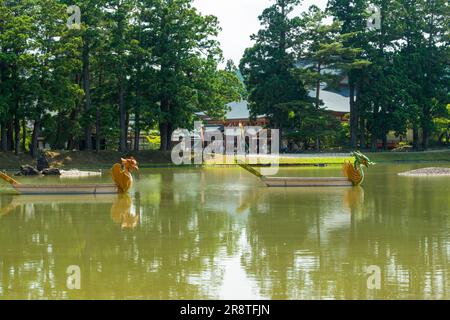 Jardin de la Terre pure au temple de Motsuji au début de l'été Banque D'Images